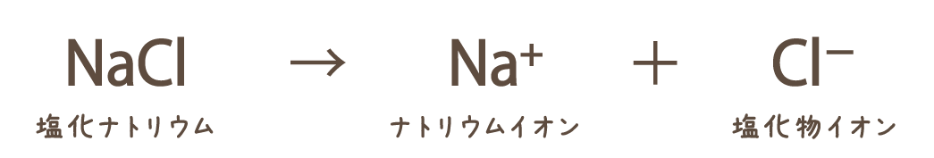 塩化ナトリウムの電離式