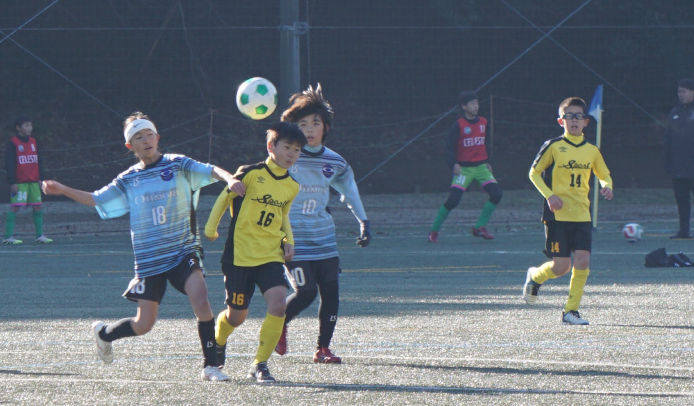 第15回ジャニアス杯の試合シーン