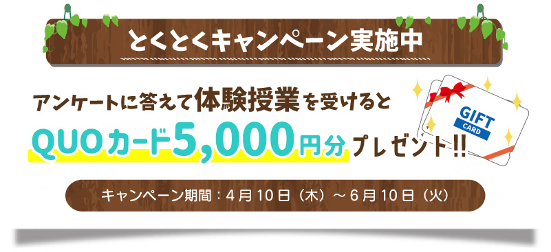 とくとくキャンペーン実施中