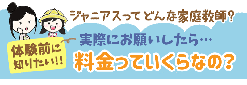 実際にお願いしたら、料金っていくらなの？