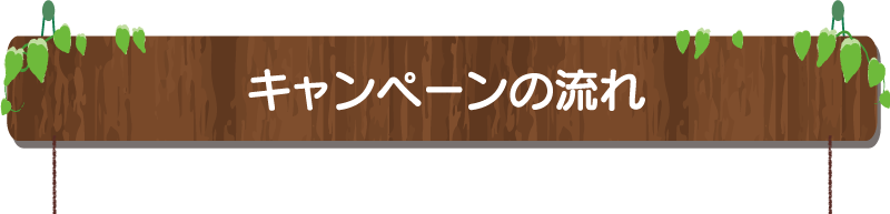 キャンペーンの流れ