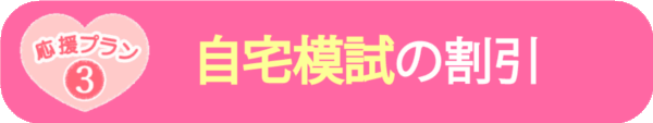 自宅模試が激安