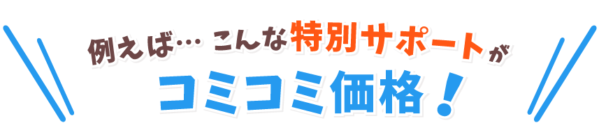 例えばこんなサポートがコミコミ価格